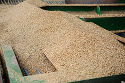 Бобруйскому КХП увеличили госзаказ