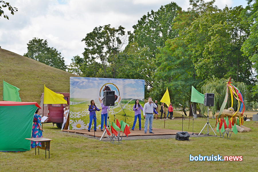 Яркий «Конный фест» прошел под Бобруйском