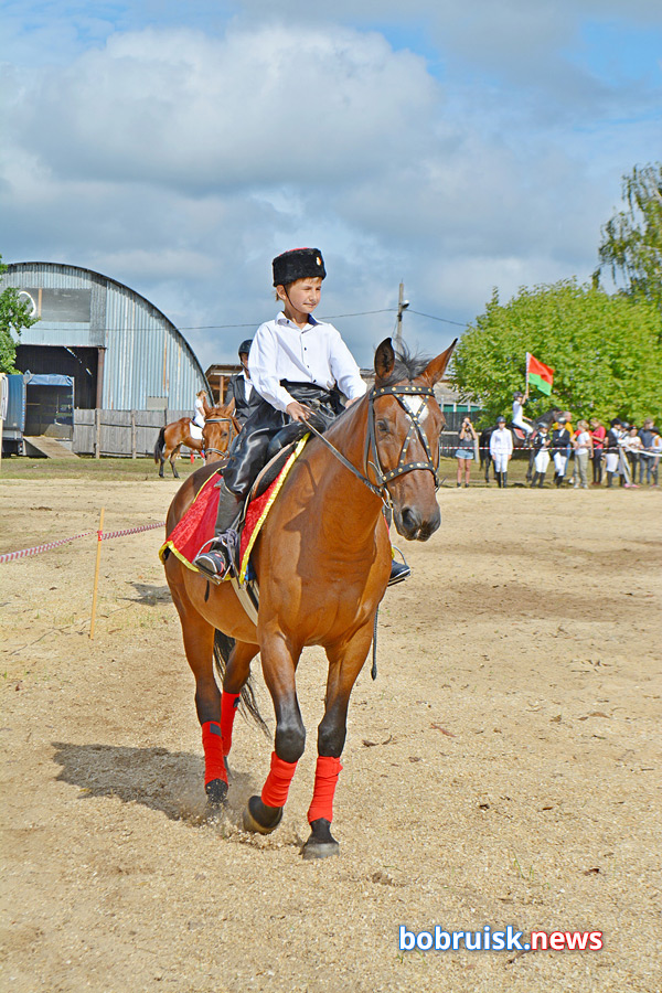 Яркий «Конный фест» прошел под Бобруйском