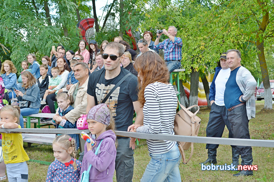Яркий «Конный фест» прошел под Бобруйском