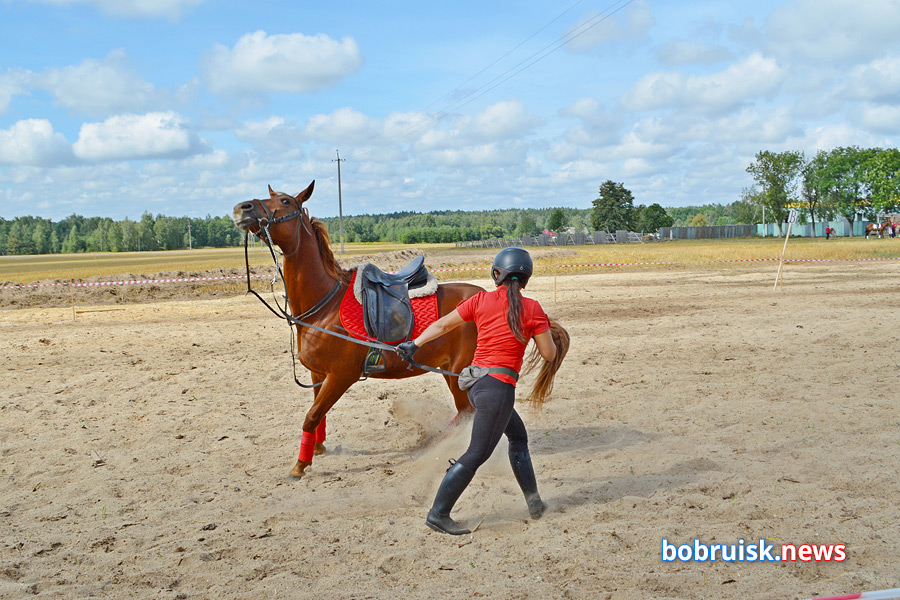 Яркий «Конный фест» прошел под Бобруйском