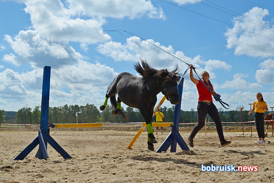 Яркий «Конный фест» прошел под Бобруйском