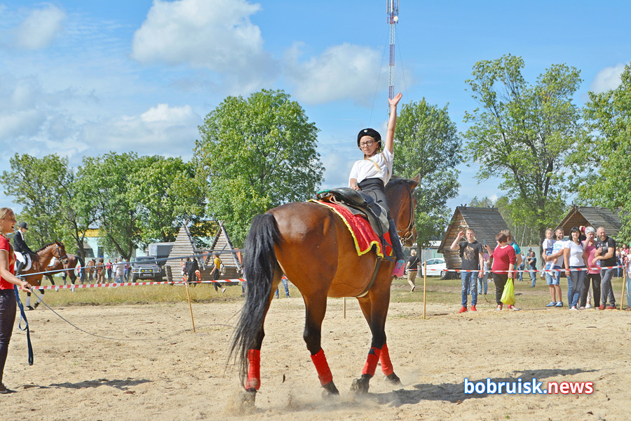 Яркий «Конный фест» прошел под Бобруйском