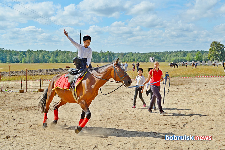 Яркий «Конный фест» прошел под Бобруйском