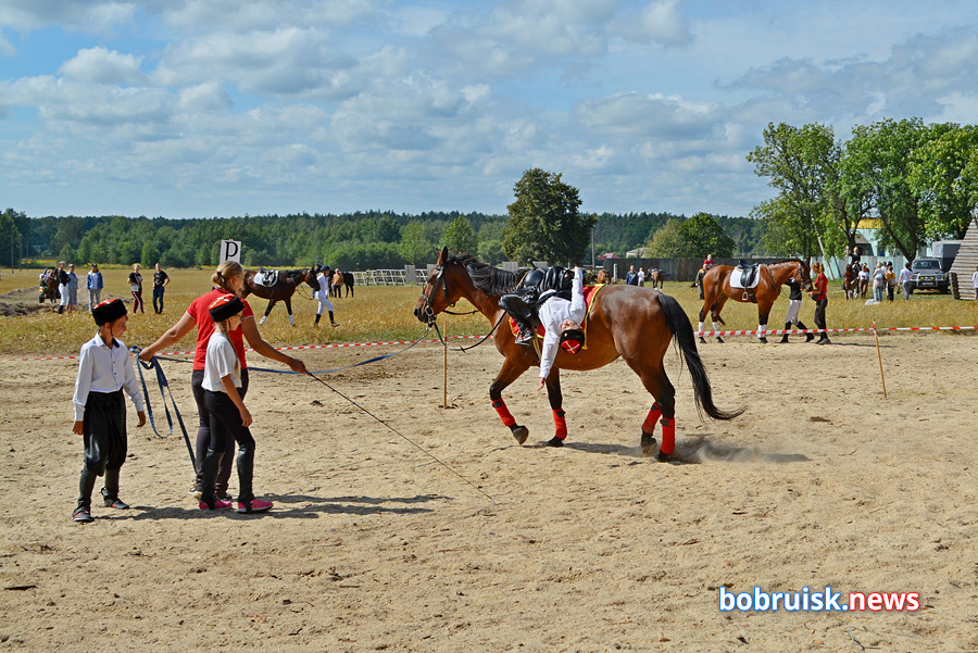 Яркий «Конный фест» прошел под Бобруйском