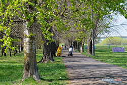 В Бобруйске вдов больше, чем разведенных. Что еще рассказали итоги переписи населения