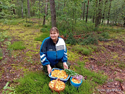 Что сейчас с грибами под Бобруйском? Мы расспросили опытного грибника