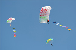 Открытый чемпионат ВС по парашютному спорту стартовал в Бобруйске