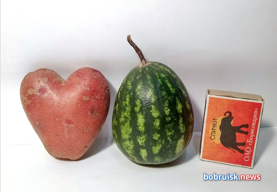 Картофельное сердце и арбузный шарик: находки наших читателей