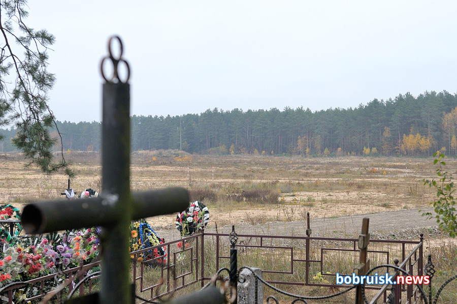 В Бобруйске в ноябре откроется кладбище «Восточное»