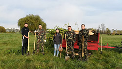 42 граба для «Бобруйск-Арены»