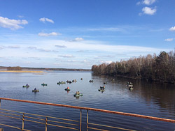 С 1 ноября запрещается ловить два вида рыбы. Иначе – штраф!