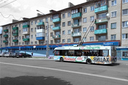 «Виталюр» в Бобруйске закрывается на модернизацию