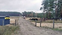 Начались ли захоронения на новом кладбище и где в Бобруйске будет крематорий