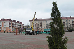 На главной площади Бобруйска начинают монтировать елку. Фотофакт