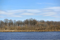 Кто в Бобруйске не дает реке уснуть?
