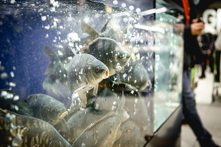 «Он просто огромный». В Бобруйске появился супермаркет Green