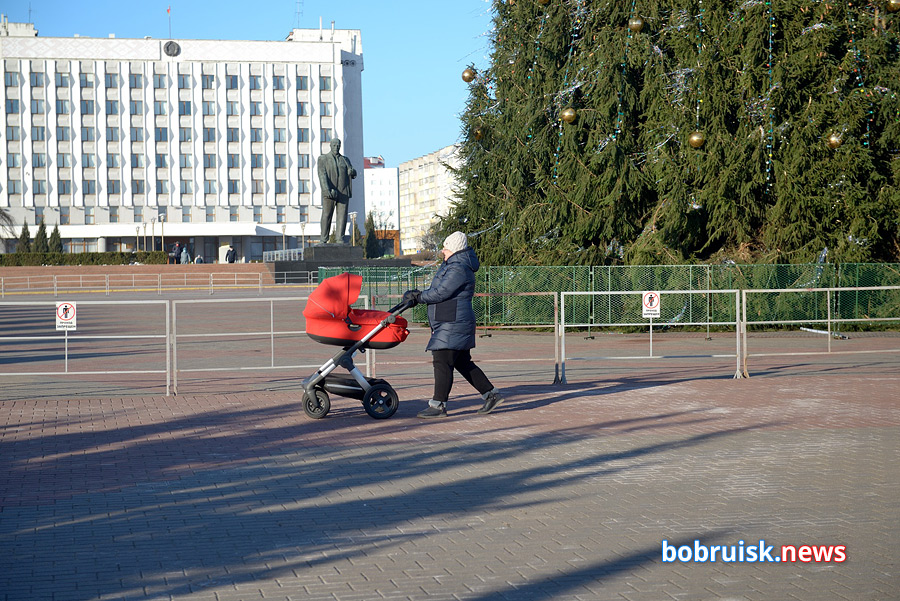 Сколько елок и шаров ушло на главный символ Нового года в Бобруйске