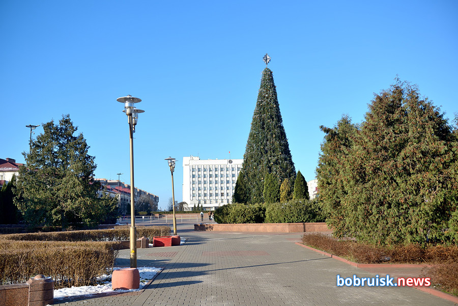 Сколько елок и шаров ушло на главный символ Нового года в Бобруйске