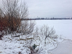 Конец декабря принес температурные сюрпризы бобруйчанам