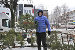 Когда и где в Бобруйске будут работать елочные базары