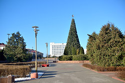 Сколько елок и шаров ушло на главный символ Нового года в Бобруйске