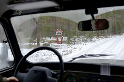 Зеленая торговля Бобруйского лесхоза