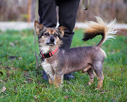 В Бобруйске спасли более 1000 животных!