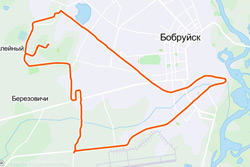 Тираннозавр на улицах Бобруйска