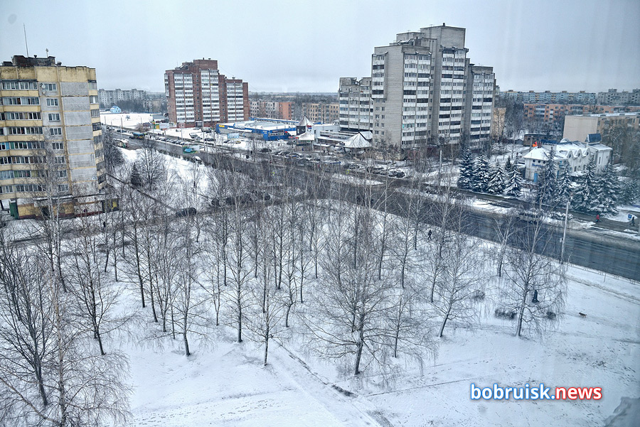 Жители Бобруйска отстояли зеленую зону