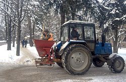 Как бобруйчане справляются с погодными испытаниями