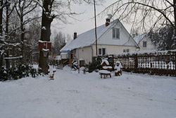 Под Бобруйском остался зимовать аист