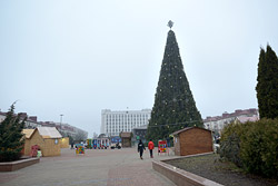 Бобруйчане о 2020: личные итоги + вдохновение, планы и лучший антистресс