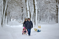 Метеорологи обещают бобруйчанам настоящую зиму