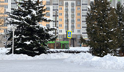 «Приходили на работу к четырем утра». Как сказались морозы на работе пассажирского транспорта Бобруйска