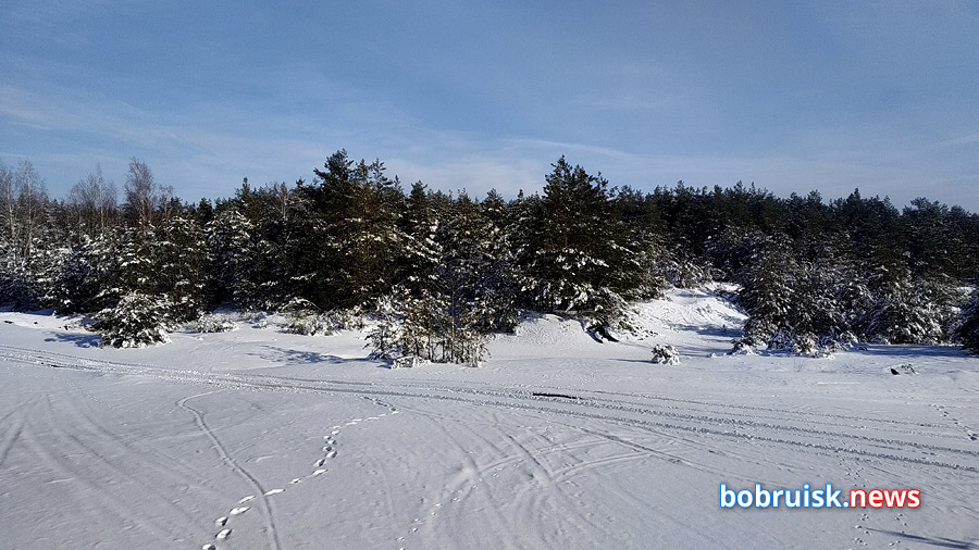 Лестница в небо, развалины под снегом и проспект в лесу. Что происходит зимой на секретной окраине Бобруйска