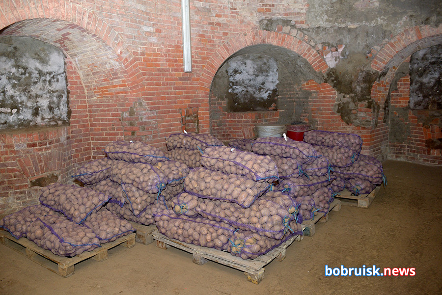  Самое внушительное овощехранилище Беларуси: люнет «Рассвет» в Бобруйской крепости