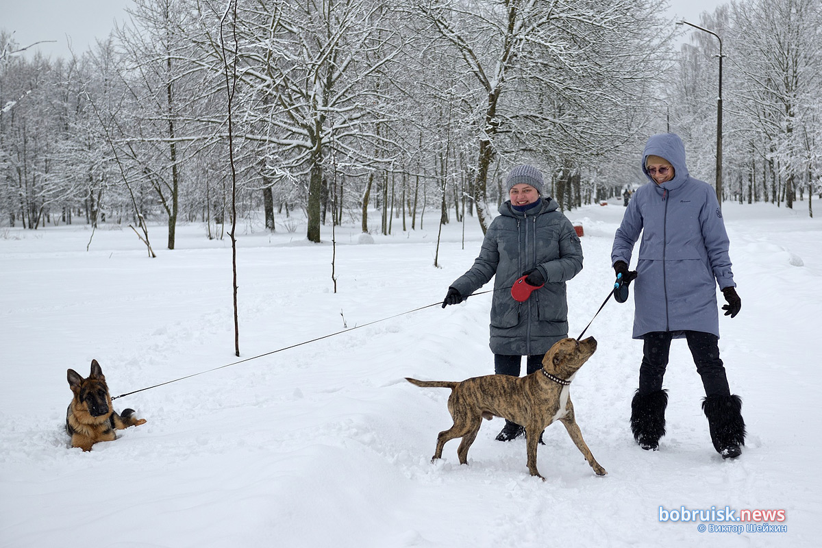 Воскресная прогулка по зимнему Бобруйску. Фоторепортаж