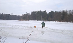Жива ли рыба? Что показало обследование бобруйских водоемов