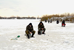 Ловится ли щука зимой в Бобруйске?