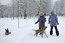 Воскресная прогулка по зимнему Бобруйску. Фоторепортаж