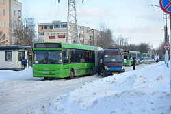Когда без помощи обойтись невозможно. Фотофакт дня