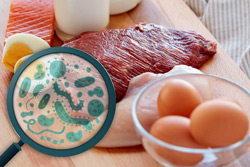 В Бобруйске и районе увеличилось число случаев заболевания сальмонеллезом