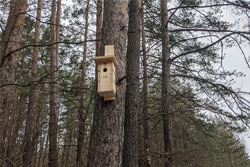 Как специалистов по борьбе с вредителями приманивают жильем под Бобруйском