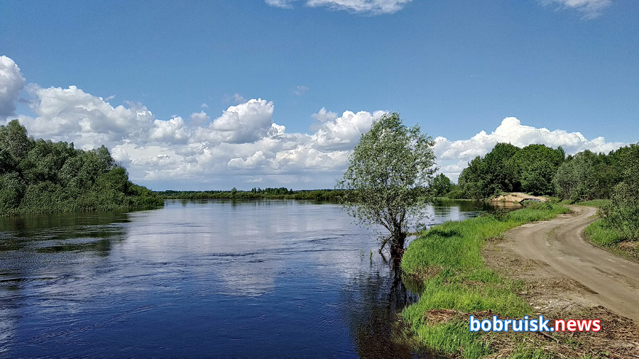 Нас, кажется, затопило! Количество осадков и вода в Березине в районе Бобруйска бьет рекорды