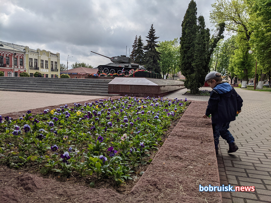 Городские первоцветы в Бобруйске