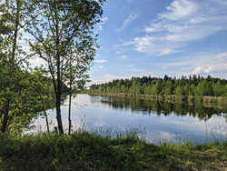 Что мешает замкнуть кольцевую дорогу вокруг Бобруйска?