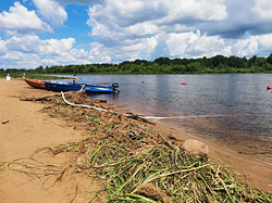 На центральном пляже Бобруйска продолжается очистка береговой линии