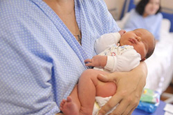 Кого в Бобруйске аист принес?