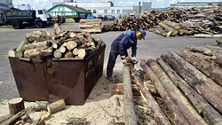 «За зиму сожгли весь запас». Заготовка печного топлива в Бобруйске набирает обороты… и цену